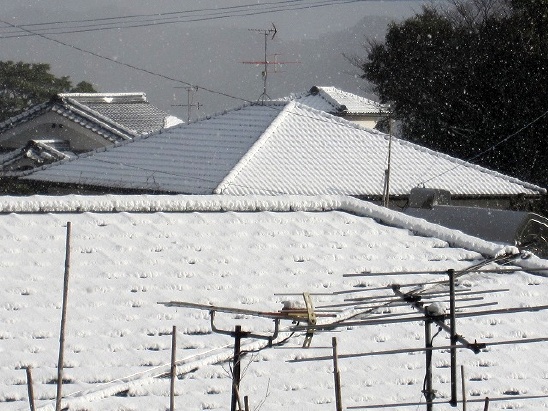 積雪の屋根_b0182884_7431722.jpg