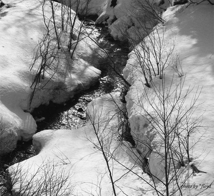 c0229384_23214542.jpg