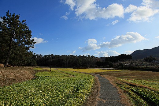 備中国分寺_e0190885_185816.jpg