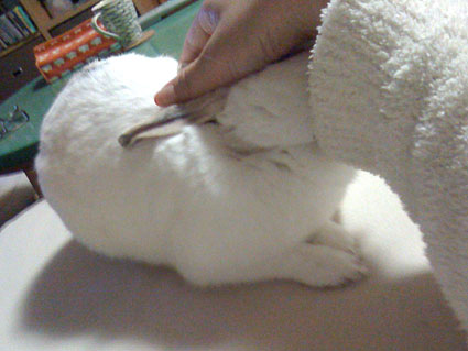 f0201191_11235287.jpg