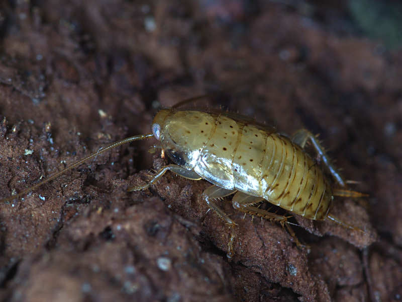f0204094_020233.jpg