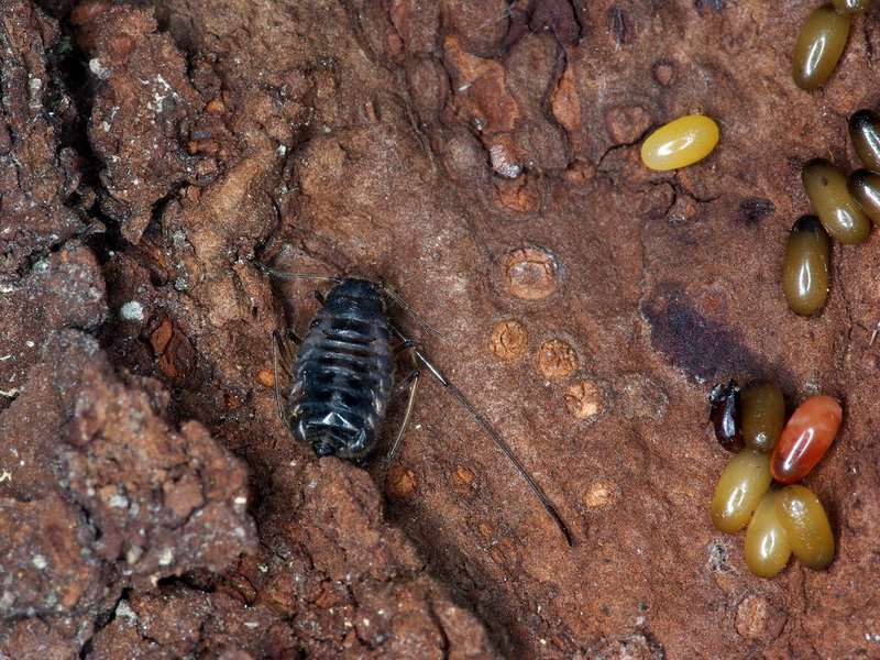 f0204094_0321529.jpg