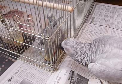 c0133013_10334423.jpg
