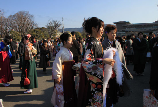 三十三間堂 通し矢_e0048413_20585347.jpg