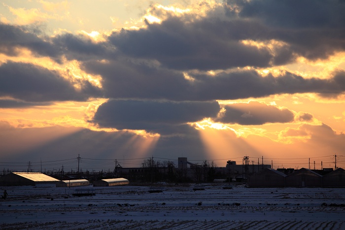 雪と田んぼと夕日_b0128621_218966.jpg