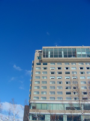 f0170524_1811153.jpg