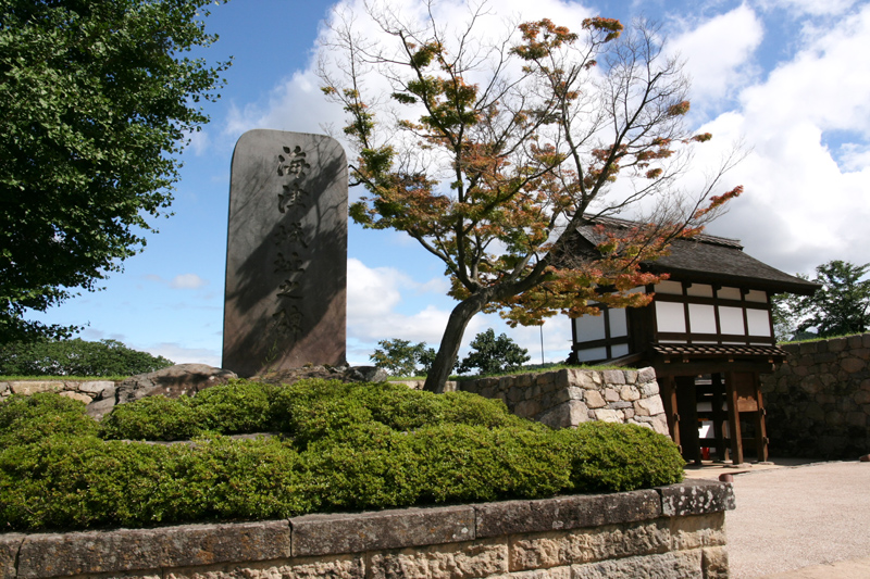 d0054625_2028072.jpg