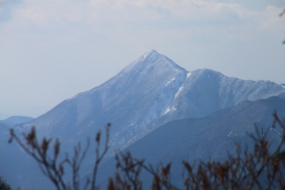 d0055236_216525.jpg