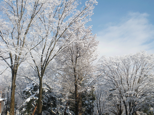 c0093046_985666.gif