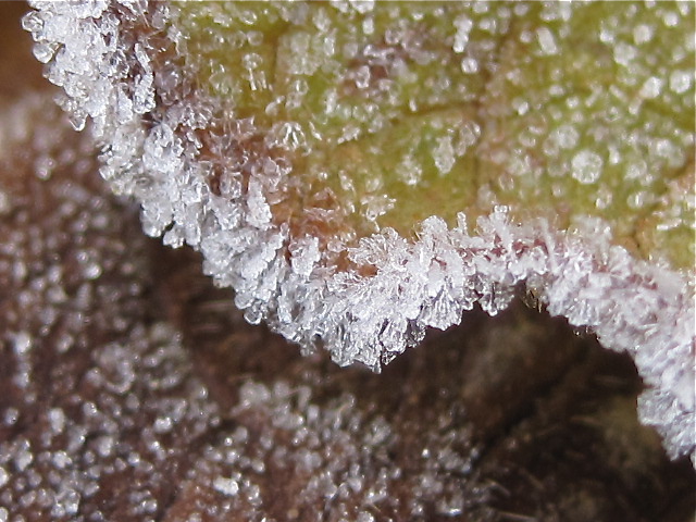 貧乏性_d0101846_7321947.jpg