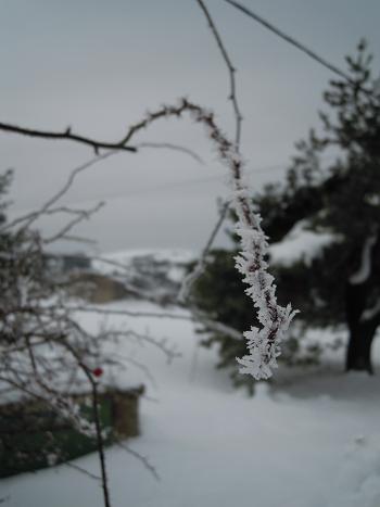 雪景色を歩こう_f0194446_201163.jpg