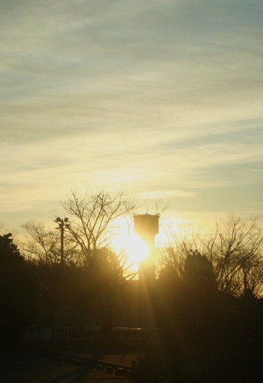 e0126350_2049321.jpg