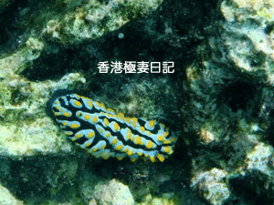 f0190653_1714366.gif