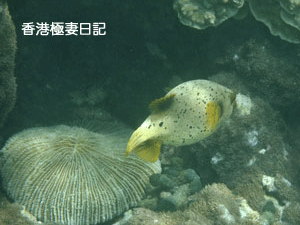 f0190653_1715884.gif