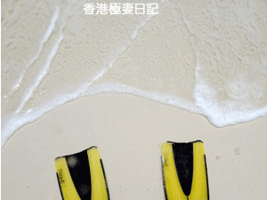 f0190653_17173681.gif
