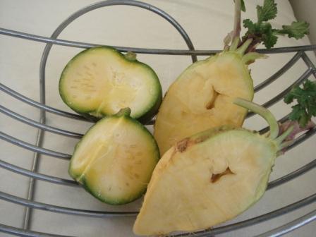 新野菜_a0163160_1504660.jpg