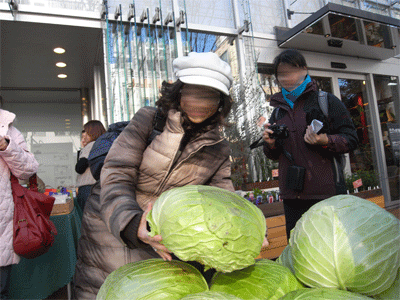 b0037160_2063158.gif
