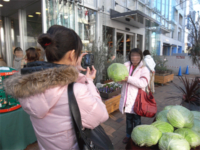 b0037160_2064526.gif