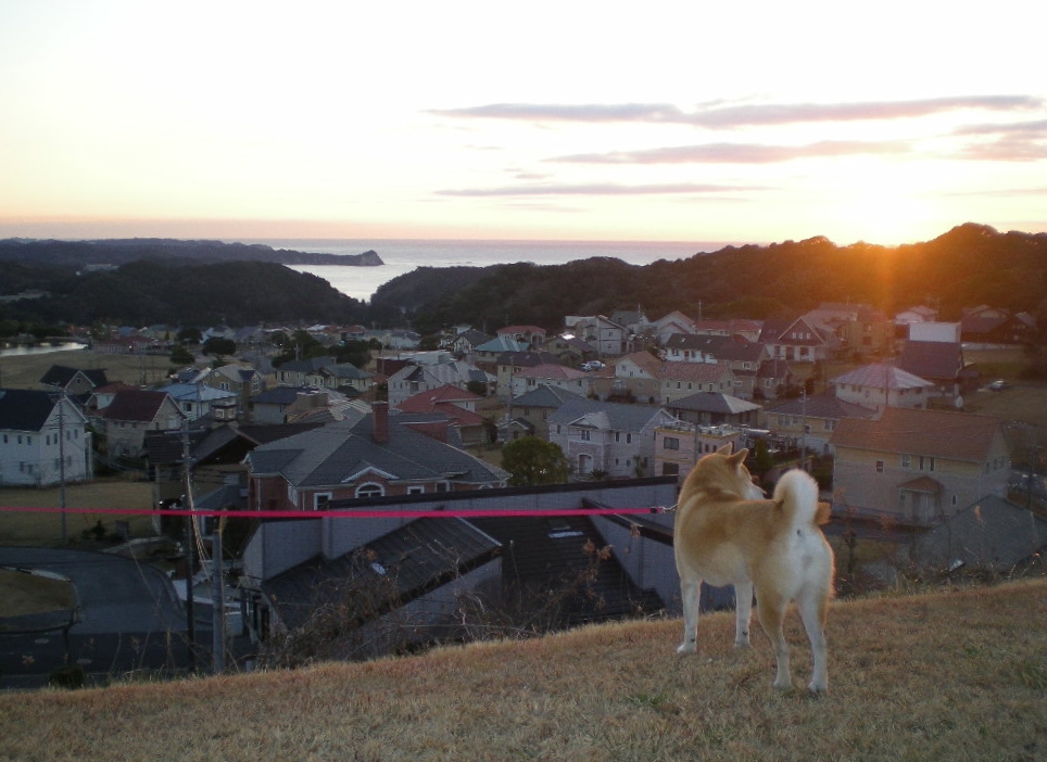 2010年1月17日(日)チュニジアの夕焼け!_f0060461_14303345.jpg