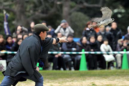 2010.01.03 諏訪流放鷹術実演 -3-_a0121671_2047249.jpg