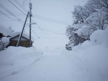 およそ5年ぶりの大雪_b0126182_9144517.jpg