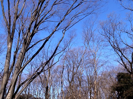e0156083_14491745.jpg