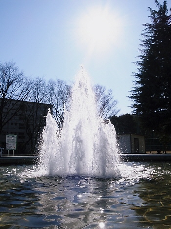 e0156083_14501246.jpg
