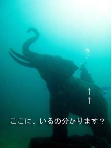 そうです!ぞうのぞうですよ☆_f0144385_19163149.jpg