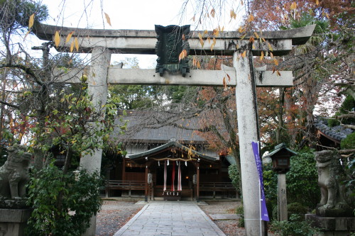 奈良 三輪 恵比寿神社と境内社琴比羅神社 on 2009-11-14_b0118987_885393.jpg