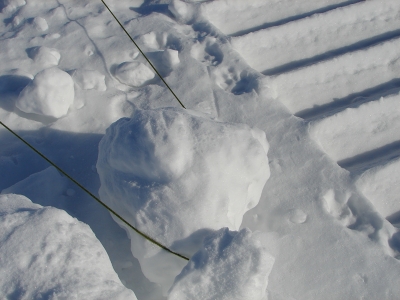 f0195891_20311419.jpg
