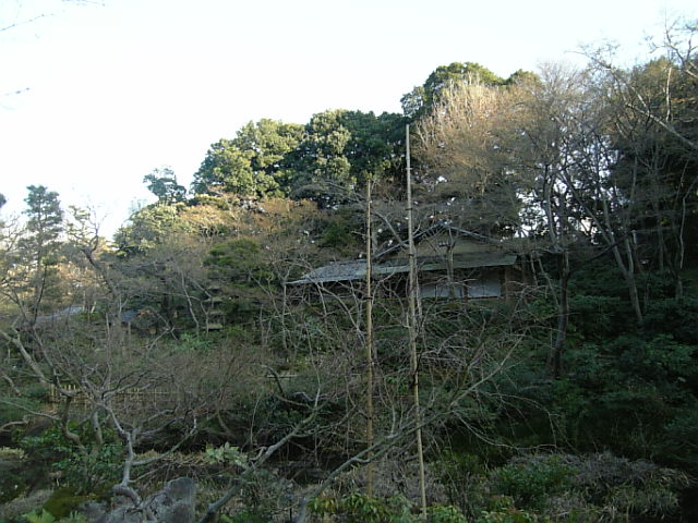 a0126797_22521283.jpg