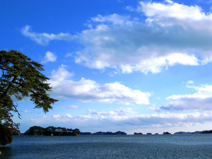 日本三景・松島_b0083801_2075043.jpg