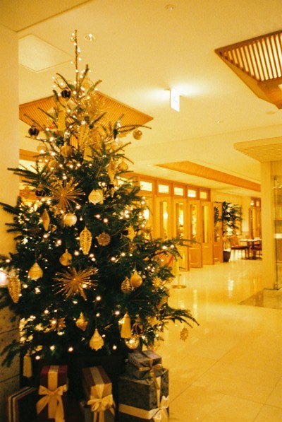 e0174703_1485235.jpg
