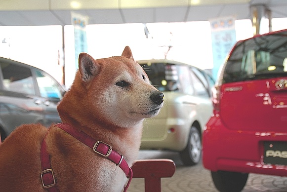 車がなかった休日。_e0005411_925731.jpg