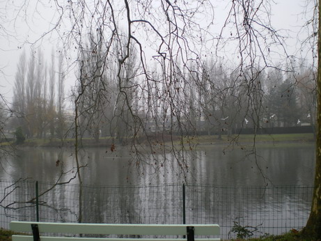 c0124619_20152219.jpg