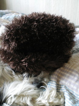 c0124619_326318.jpg