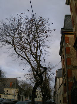 c0124619_6302781.jpg