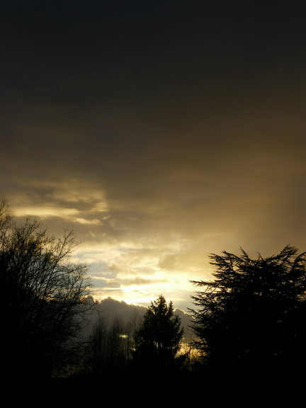 c0124619_6383227.jpg