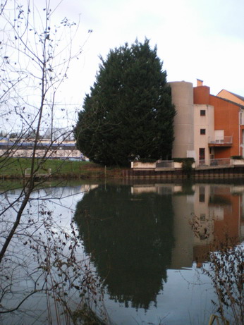 c0124619_6452593.jpg