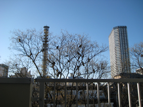 c0177822_14274583.jpg