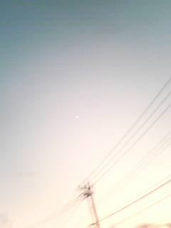 a0134323_18503128.jpg