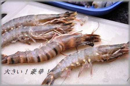 運命のお仕事ケータリング 15 礼儀正しいハナマル完食軍団☆_d0104926_29072.jpg