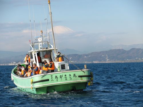 茅ケ崎市観光協会が烏帽子岩周遊船の募集をしていましたのでに応募しました。_a0117733_16233863.jpg