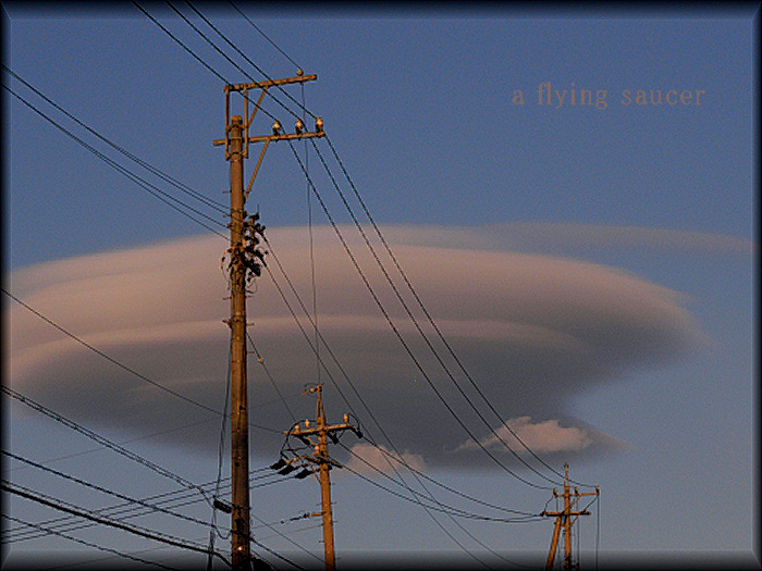 a flying saucer。_c0128234_16122473.jpg