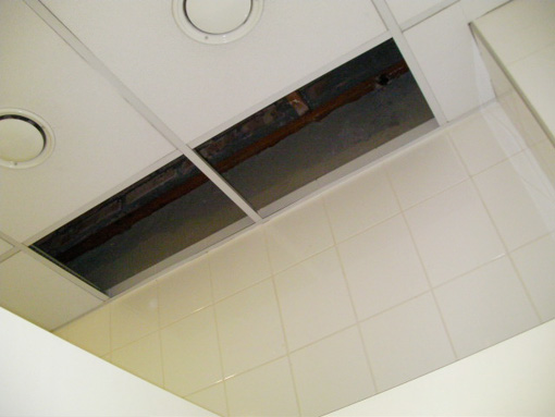 d0111435_20485664.jpg