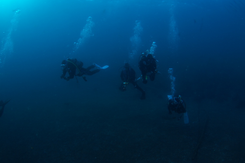 大瀬崎2010-01-16,17 Dive830-835_b0016940_015229.jpg