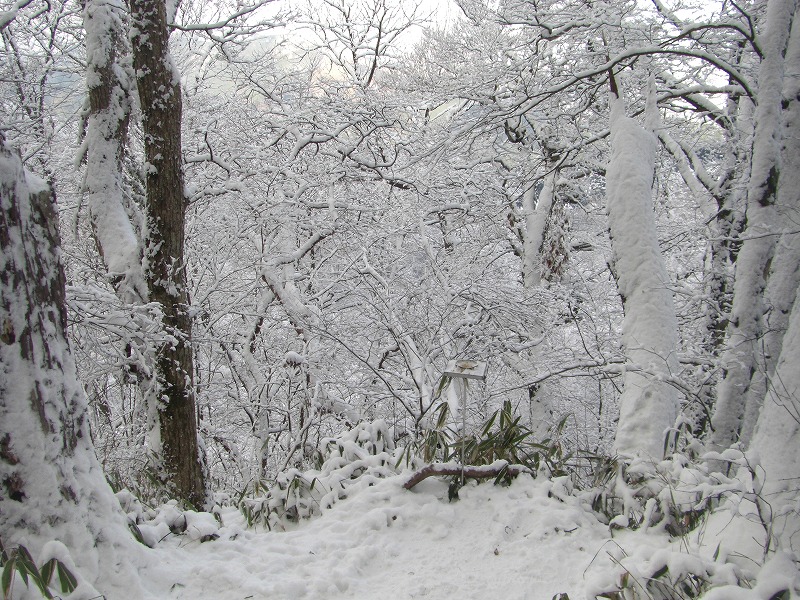 金剛山二ノ滝の氷瀑_a0122149_2110558.jpg