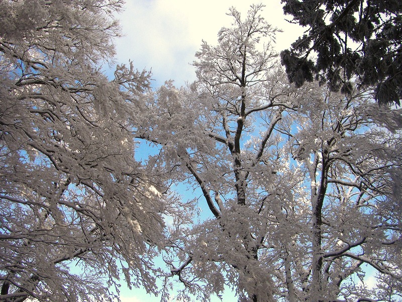 金剛山二ノ滝の氷瀑_a0122149_2184973.jpg