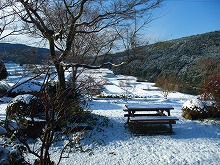 f0207652_8542017.jpg