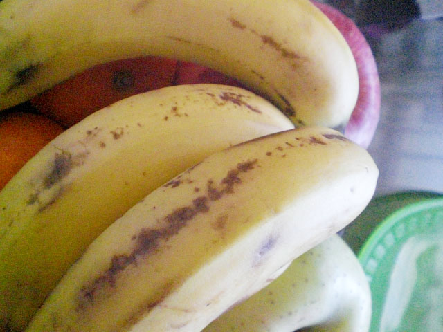 a0152755_0241423.jpg